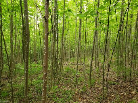 0000 Haystack Rd, Thurmond, NC 28683 photo 7