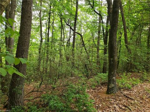 0000 Haystack Rd, Thurmond, NC 28683 photo 17