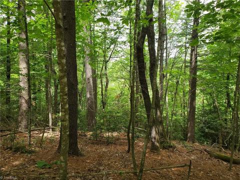 0000 Haystack Rd, Thurmond, NC 28683 photo 16