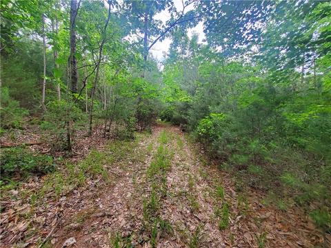 0000 Haystack Rd, Thurmond, NC 28683 photo 12
