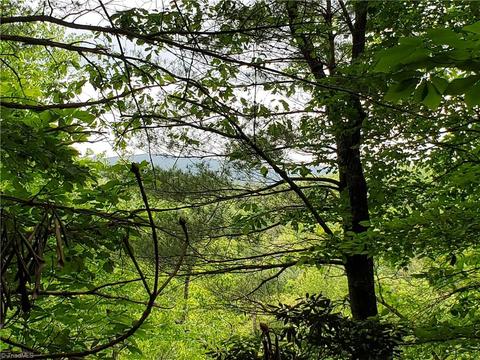 0000 Haystack Rd, Thurmond, NC 28683 photo 18