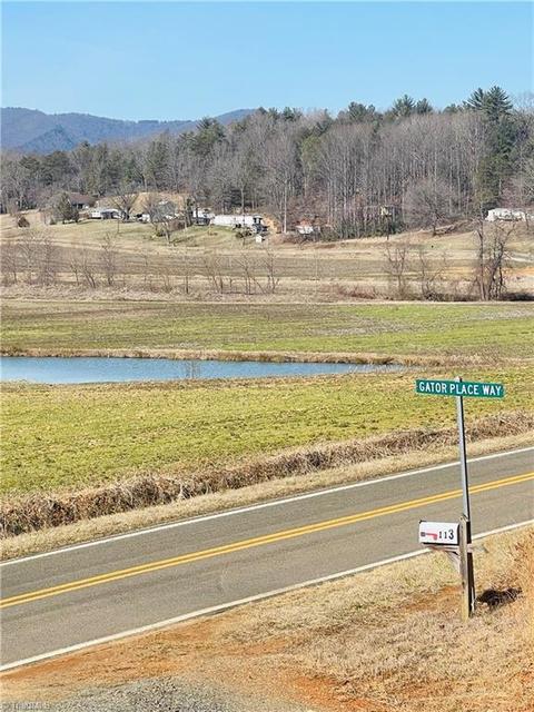 113 Gator Place Way, Lowgap, NC 27024