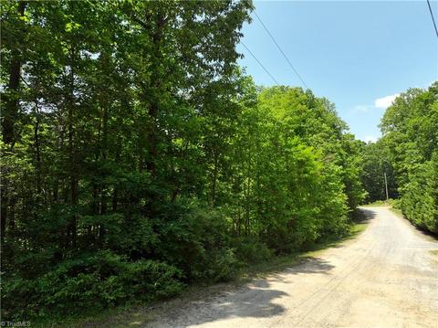 Tbd Flagstone Way, Lowgap, NC 27024 photo 9