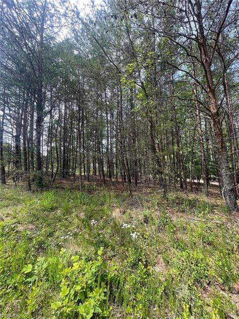 Tbd Middle Fork Road, Hays, NC 28635