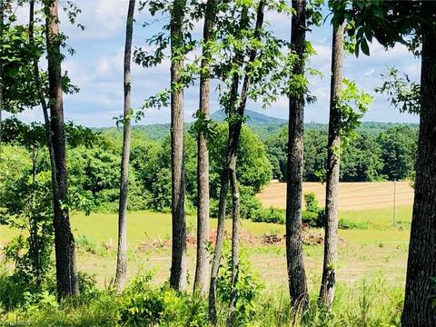 2520 Swaringen Rd, Traphill, NC 28685 photo 44