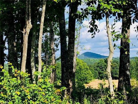 2520 Swaringen Rd, Traphill, NC 28685 photo 8