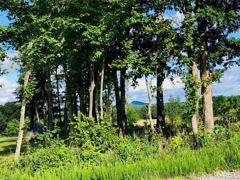 2520 Swaringen Rd, Traphill, NC 28685 photo 46