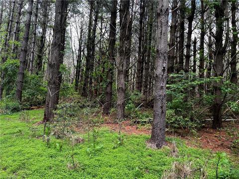 00 Appleton Rd, Cana, VA 24317 photo 3