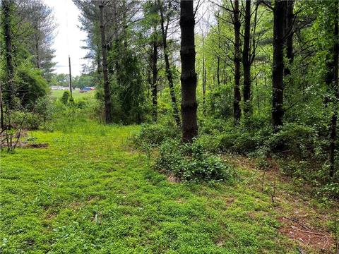 00 Appleton Rd, Cana, VA 24317 photo 2