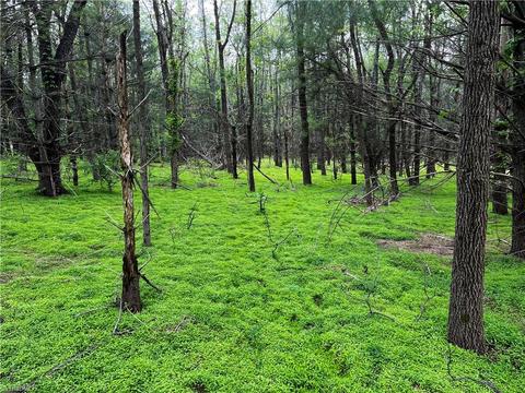 00 Appleton Rd, Cana, VA 24317 photo 10