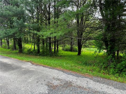 00 Appleton Rd, Cana, VA 24317 photo 11