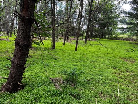 00 Appleton Rd, Cana, VA 24317 photo 9