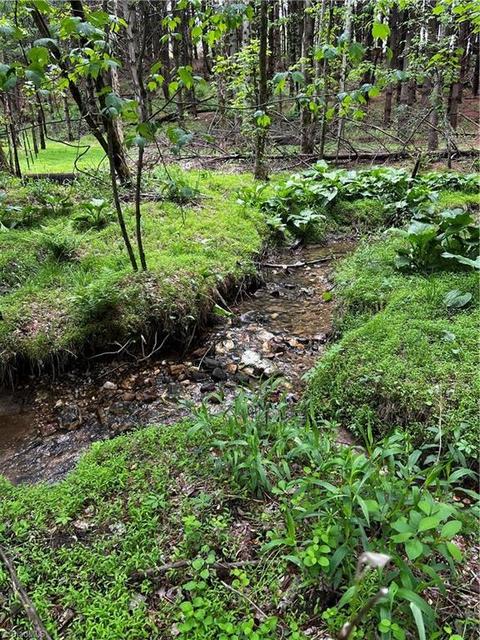 00 Appleton Rd, Cana, VA 24317