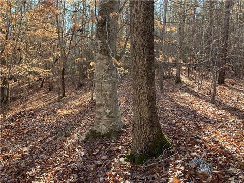 000 Nc Highway 134 N, Star, NC 27356