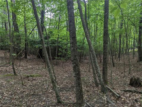 Tbd Eagle Nest Drive, Deep Gap, NC 28618 photo 4