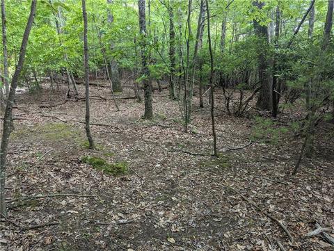 Tbd Eagle Nest Drive, Deep Gap, NC 28618 photo 3
