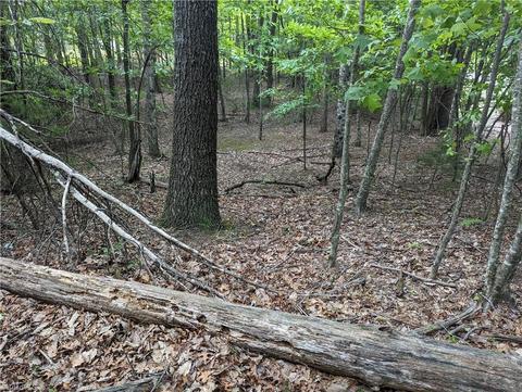 Tbd Eagle Nest Drive, Deep Gap, NC 28618 photo 6