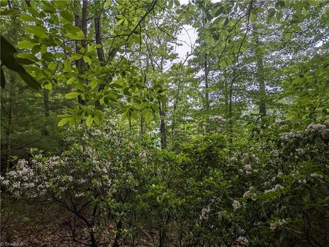 Tbd Eagle Nest Drive, Deep Gap, NC 28618 photo 5