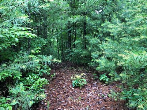 61 Deer Run, Purlear, NC 28665 photo 7