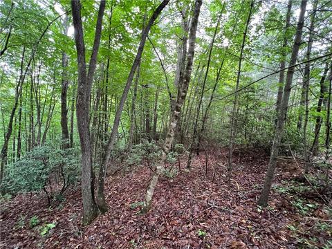 61 Deer Run, Purlear, NC 28665 photo 11