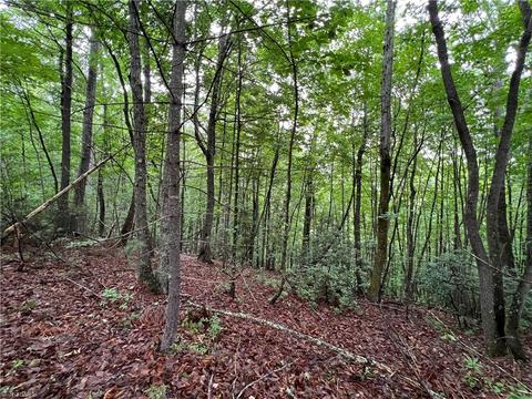 61 Deer Run, Purlear, NC 28665 photo 9