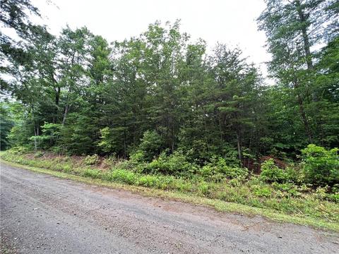 61 Deer Run, Purlear, NC 28665 photo 4