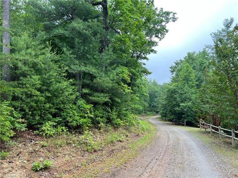61 Deer Run, Purlear, NC 28665 photo 3