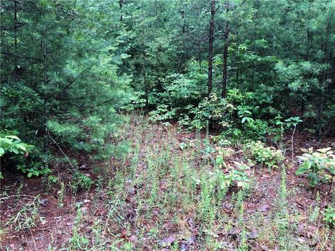61 Deer Run, Purlear, NC 28665 photo 8
