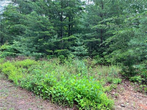 61 Deer Run, Purlear, NC 28665 photo 5