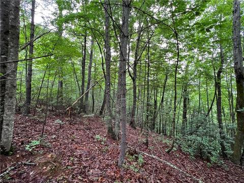 61 Deer Run, Purlear, NC 28665 photo 10