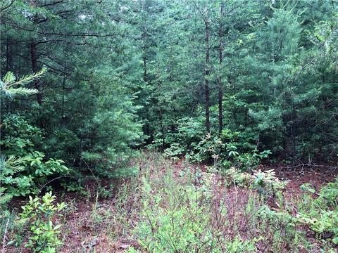 61 Deer Run, Purlear, NC 28665 photo 6