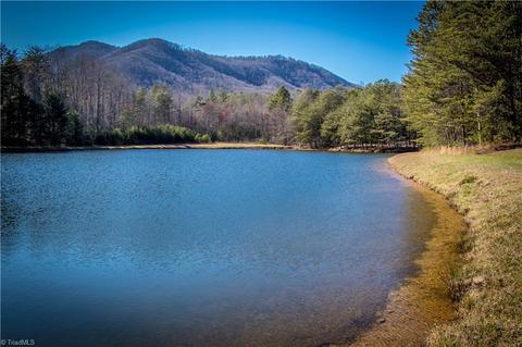 60 Jonathan Drive, Lowgap, NC 27024 photo 17