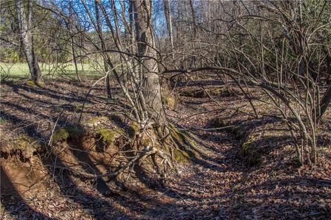 60 Jonathan Drive, Lowgap, NC 27024 photo 7