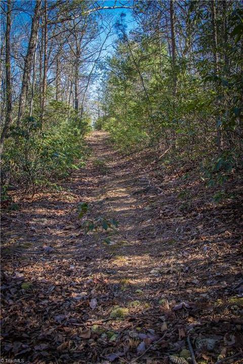 60 Jonathan Drive, Lowgap, NC 27024 photo 13