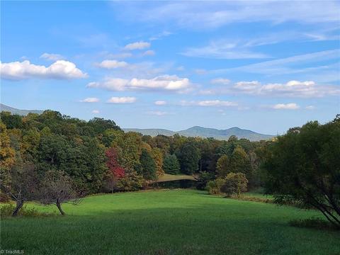 60 Jonathan Drive, Lowgap, NC 27024 photo 27
