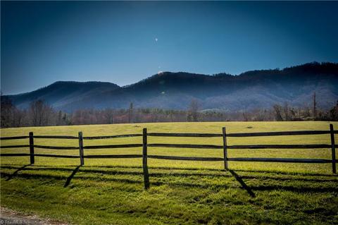 60 Jonathan Drive, Lowgap, NC 27024 photo 2