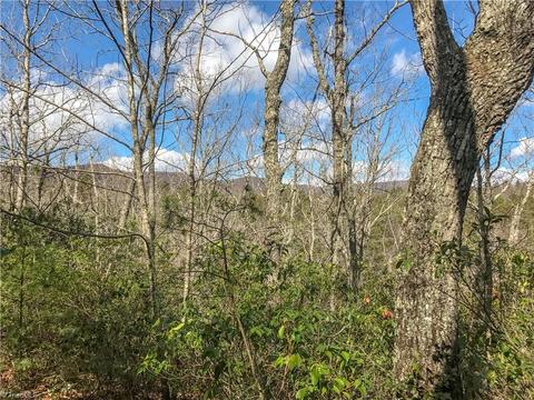 60 Jonathan Drive, Lowgap, NC 27024 photo 9