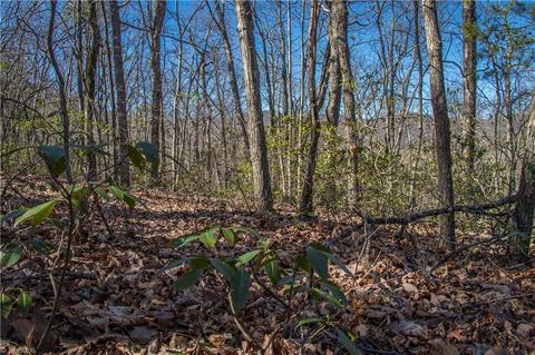 60 Jonathan Drive, Lowgap, NC 27024 photo 15