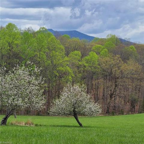 60 Jonathan Drive, Lowgap, NC 27024 photo 33