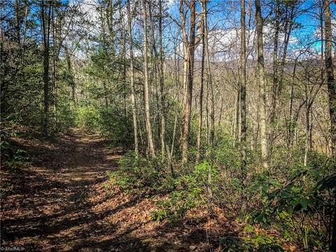 60 Jonathan Drive, Lowgap, NC 27024 photo 12