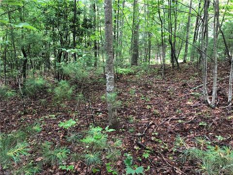 53 Staghorn Road, Purlear, NC 28665 photo 14