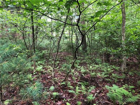 53 Staghorn Road, Purlear, NC 28665 photo 13