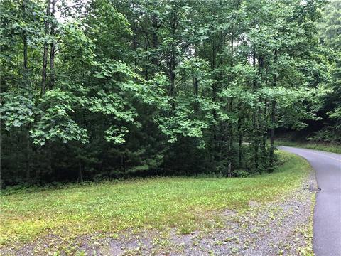 53 Staghorn Road, Purlear, NC 28665 photo 6