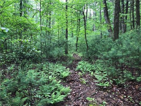 53 Staghorn Road, Purlear, NC 28665 photo 8