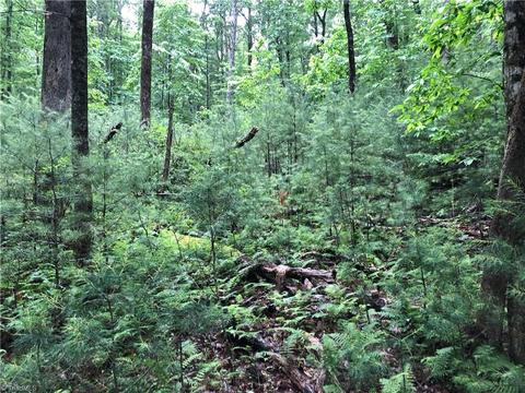 53 Staghorn Road, Purlear, NC 28665 photo 10
