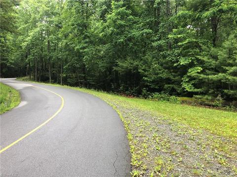 53 Staghorn Road, Purlear, NC 28665 photo 3