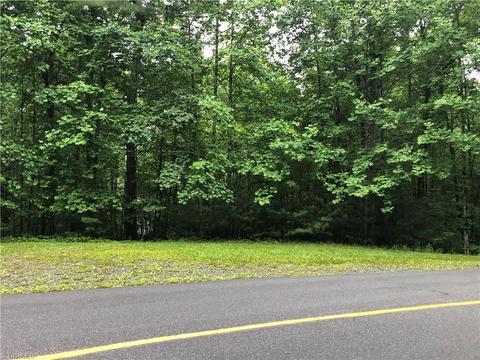 53 Staghorn Road, Purlear, NC 28665 photo 4