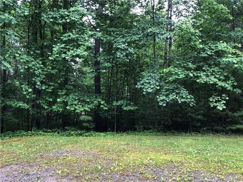 53 Staghorn Road, Purlear, NC 28665 photo 5