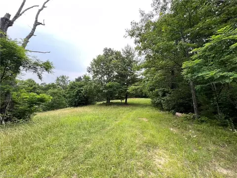 Tbd White Oak Road, Purlear, NC 28665 photo 28