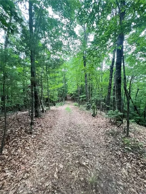 Tbd White Oak Road, Purlear, NC 28665 photo 31